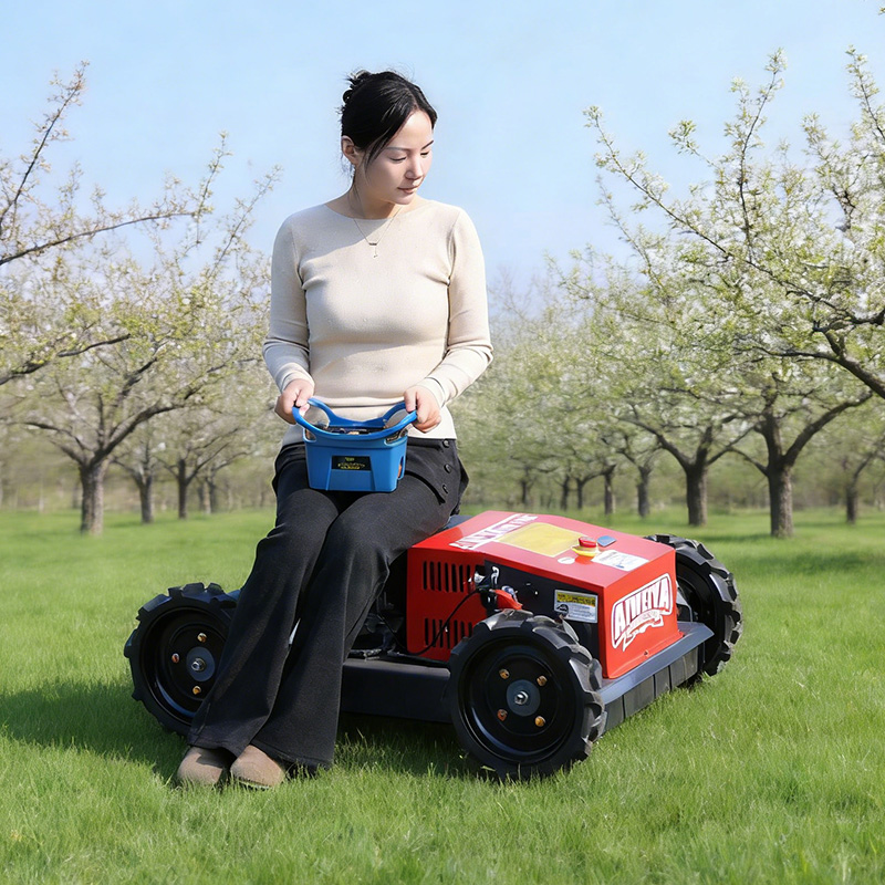 Customized Factory Remote Cont - Robot Track review and price