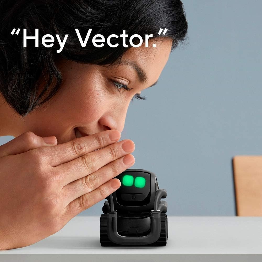 AI ChatGPT 2.0 Connected Robot - Robot Remote Control review and price