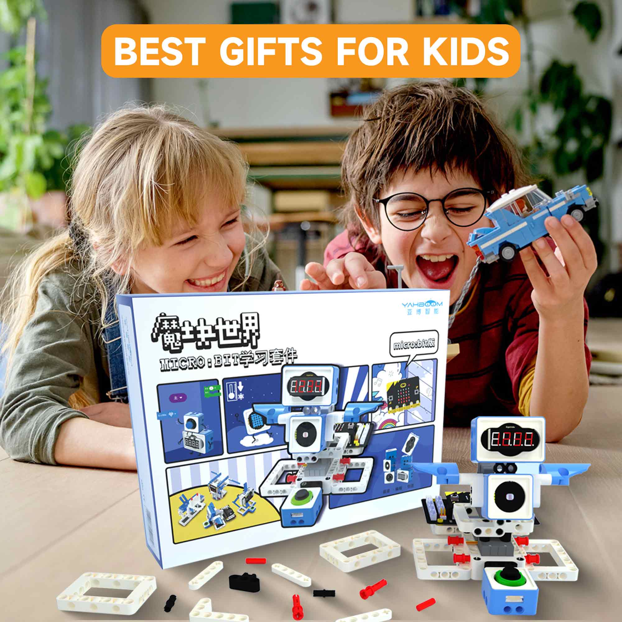21 in 1 Microbit Robotics Kit  - Microbit Robot review and price