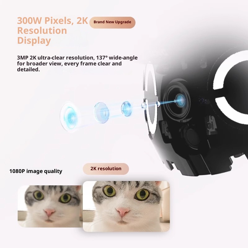 Enabot ROLA Mini Smart Robot I - Ros Robot review and price