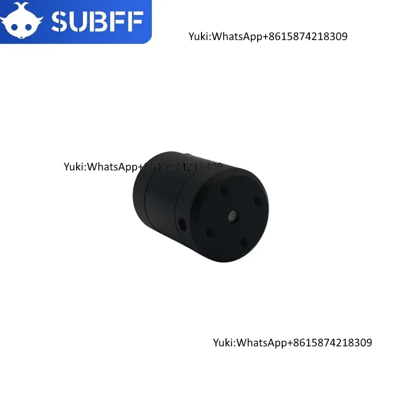 Factory Supply DC Electric Wat - Dc Motor 12V review and price