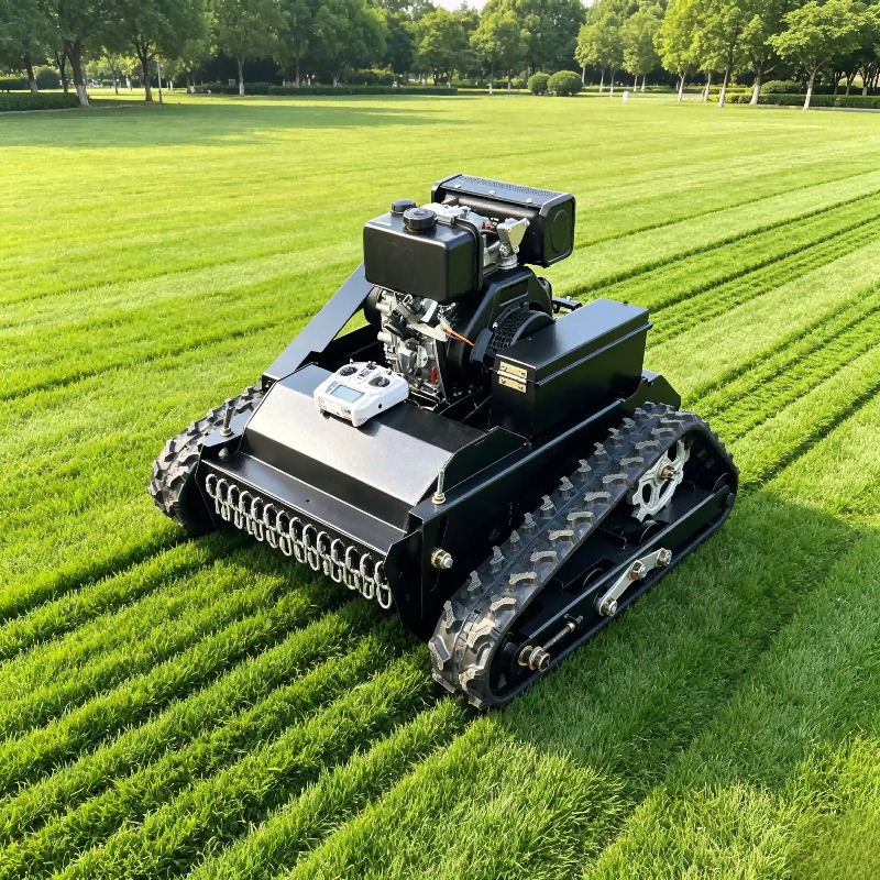 Reel Blade Grass Cutter 4-Stro - Robot Track review and price