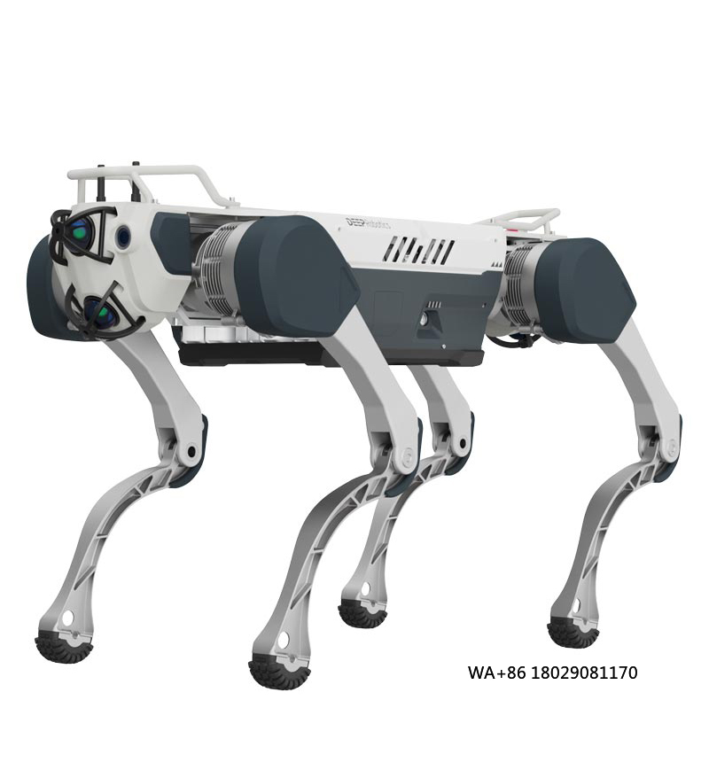 Achieving Artificial Intellige - Robot Remote Control review and price